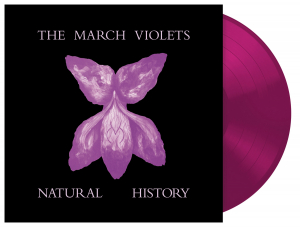 The March Violets - Natural History (Violet Vinyl Lp) Rsd 2026 ryhmässä ME SUOSITTELEMME / Record Store Day / RSD 2026 @ Bengans Skivbutik AB (5656901)