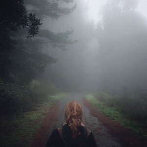 Mono - Under The Pipal Tree (25Th Annivers ryhmässä ME SUOSITTELEMME / Perjantain julkaisut / 2026-03-27 @ Bengans Skivbutik AB (5657391)