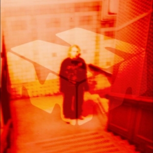 Stüm - Son Of The Forest / Fruit Of Knowle ryhmässä VINYYLI / Kommande / Pop-Rock @ Bengans Skivbutik AB (5657397)