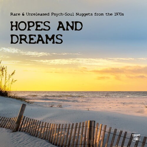 Various Artists - Hopes And Dreams - Rare & Unrelease ryhmässä ME SUOSITTELEMME / Perjantain julkaisut / 2026-03-20 @ Bengans Skivbutik AB (5658162)