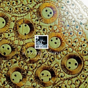 In Loving Memory - A Discography (Limited Edition) ryhmässä CD / Kommande / Pop-Rock @ Bengans Skivbutik AB (5658331)