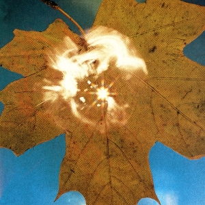 Soyuz - Force Of The Wind ryhmässä VINYYLI / Jazz @ Bengans Skivbutik AB (5658442)