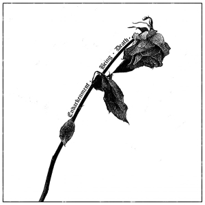 Speglas - Endarkenment, Being & Death ryhmässä ME SUOSITTELEMME / Perjantain julkaisut / 2026-02-27 @ Bengans Skivbutik AB (5658732)