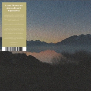 Azumi Okaruma & Andrea Esperti - Nighthawks ryhmässä VINYYLI / Kommande / Pop-Rock @ Bengans Skivbutik AB (5659659)