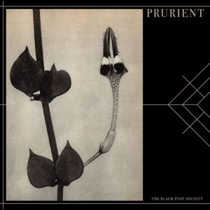 Prurient - The Black Post Society ryhmässä CD / Kommande / Pop-Rock @ Bengans Skivbutik AB (5660076)