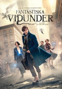Movie - Fantastic Beasts And Where To Find Them ryhmässä Elokuva / Elokuva DVD / Family @ Bengans Skivbutik AB (5661739)