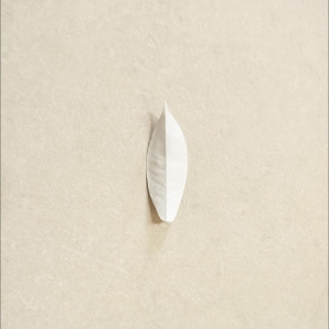 Sylvain Chauveau - The Complexity Of The Simple ryhmässä VINYYLI / Kommande / Pop-Rock @ Bengans Skivbutik AB (5662608)