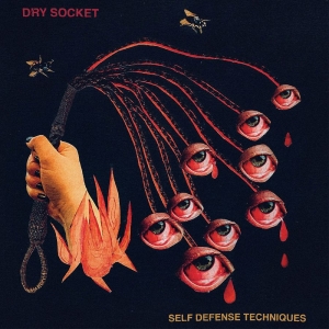 Dry Socket - Self Defense Techniques (2-Color Ga ryhmässä VINYYLI / Kommande / Pop-Rock @ Bengans Skivbutik AB (5663378)