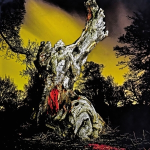 Real Farmer - Two Wrongs Don't Make A Right ryhmässä VINYYLI / Kommande / Pop-Rock @ Bengans Skivbutik AB (5664110)