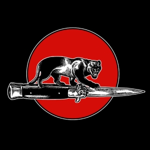 Jim Jones All Stars - Cat Fight ryhmässä VINYYLI / Kommande / Pop-Rock @ Bengans Skivbutik AB (5664112)