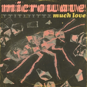 Microwave - Much Love (10 Year Anniversary Edit ryhmässä VINYYLI / Kommande / Pop-Rock @ Bengans Skivbutik AB (5664294)