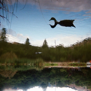 Tomu Dj - Antagonist ryhmässä VINYYLI / Kommande / Pop-Rock @ Bengans Skivbutik AB (5664312)