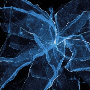 Jason Moran - Shards ryhmässä CD / Kommande / Jazz @ Bengans Skivbutik AB (5664329)