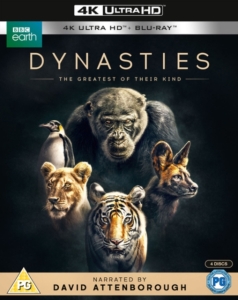 Movie - Dynasties ryhmässä Elokuva / Film UHD-4K @ Bengans Skivbutik AB (5664404)