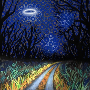 Toodles & The Hectic Pity - Every Night Is A Beautiful Night ryhmässä ME SUOSITTELEMME / Perjantain julkaisut / 2026-03-20 @ Bengans Skivbutik AB (5664945)