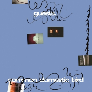 Guests - Common Domestic Bird ryhmässä VINYYLI / Kommande / Pop-Rock @ Bengans Skivbutik AB (5665021)