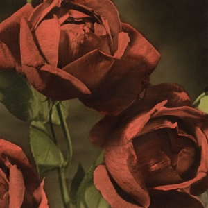 Cindy - Another Country ryhmässä CD / Kommande / Pop-Rock @ Bengans Skivbutik AB (5665023)