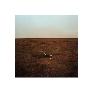 Fink - The City Coming To Erase It All ryhmässä VINYYLI / Kommande / Pop-Rock @ Bengans Skivbutik AB (5665250)