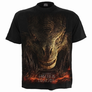 House Of The Dragon - Dragon Throne - T-Shirt ryhmässä MERCHANDISE / T-paita / TV-sarja @ Bengans Skivbutik AB (5666019r)