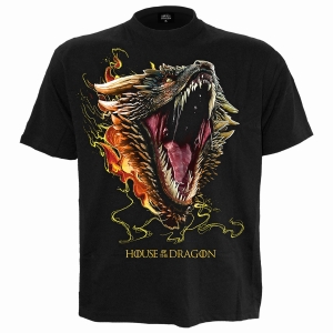 House Of The Dragon - Drogon - T-Shirt ryhmässä MERCHANDISE / T-paita / TV-sarja @ Bengans Skivbutik AB (5666020r)