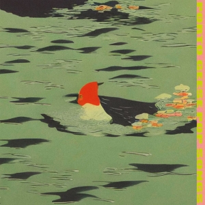 Porto Geese - Pop Songs (Vinyl Lp) ryhmässä VINYYLI / Kommande / Pop-Rock @ Bengans Skivbutik AB (5666126)