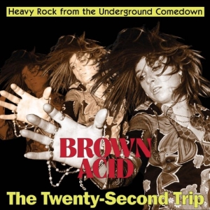 Various Artists - Brown Acid - The Twenty-Second Trip ryhmässä VINYYLI / Kommande / Pop-Rock @ Bengans Skivbutik AB (5667436)