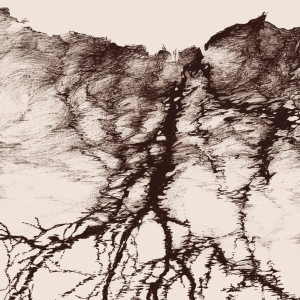 Ylva Ceder - Tree Vibrations ryhmässä VINYYLI / Nyheter / Svensk Musik @ Bengans Skivbutik AB (5667832)