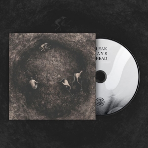 Pure Wrath - Bleak Days Ahead (Digipack) ryhmässä CD / Kommande / Hårdrock @ Bengans Skivbutik AB (5667909)