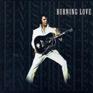 Elvis Presley - Burning Love ryhmässä CD / Pop-Rock @ Bengans Skivbutik AB (5668837)