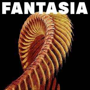 Slift - Fantasia ryhmässä CD / Kommande / Pop-Rock @ Bengans Skivbutik AB (5668917)