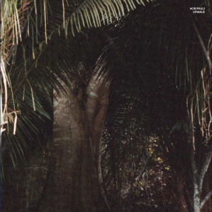 Acid Pauli - Urwald ryhmässä VINYYLI / Kommande / Pop-Rock @ Bengans Skivbutik AB (5669074)