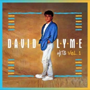 Lyme David - Hits E.P. Vol. 1 ryhmässä VINYYLI / Kommande / Pop-Rock @ Bengans Skivbutik AB (5669113)