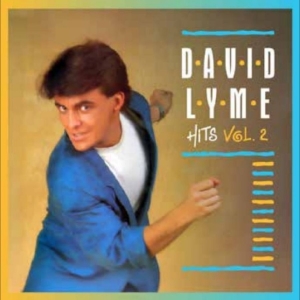 Lyme David - Hits E.P. Vol. 2 ryhmässä VINYYLI / Kommande / Pop-Rock @ Bengans Skivbutik AB (5669114)