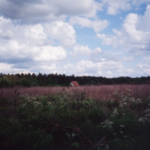 Tiner Kris & Cathlene Pineda - Sung ryhmässä VINYYLI / Kommande / Jazz @ Bengans Skivbutik AB (5669127)
