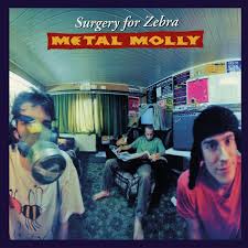 Metal Molly - Surgery For Zebra ryhmässä ME SUOSITTELEMME / Perjantain julkaisut / 2026-05-29 @ Bengans Skivbutik AB (5669187)
