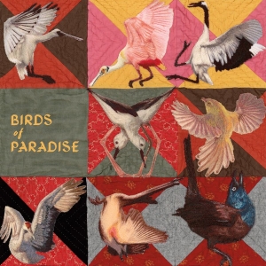 Thomas Dollbaum - Birds Of Paradise (Ltd. Roseate Spo ryhmässä VINYYLI / Kommande / World Music @ Bengans Skivbutik AB (5669362)
