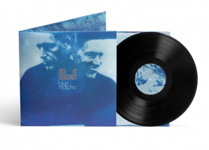 Ed O'brien - Blue Morpho ryhmässä VINYYLI @ Bengans Skivbutik AB (5669448)