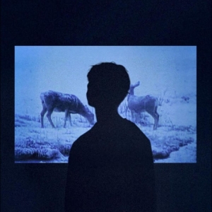 Jumo - Memory ryhmässä VINYYLI / Nyheter / Pop-Rock @ Bengans Skivbutik AB (5669755)