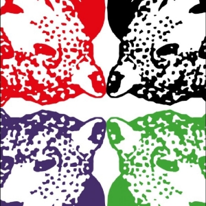 Tiger & Woods - Through The Green ryhmässä VINYYLI / Kommande / Pop-Rock @ Bengans Skivbutik AB (5670066)