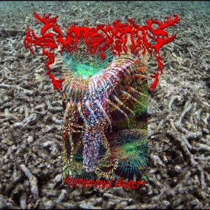Guttersnipe - Extinction Burst! ryhmässä VINYYLI / Kommande / Pop-Rock,Punk,Svensk Musik @ Bengans Skivbutik AB (5670073)