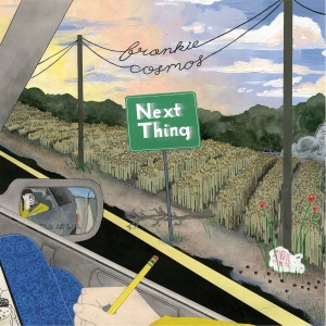 Frankie Cosmos - Next Thing (10Th Anniversary Editio ryhmässä VINYYLI / Nyheter / Pop-Rock @ Bengans Skivbutik AB (5670454)