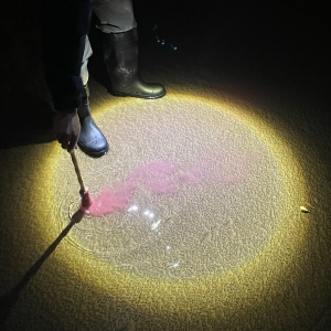 Diles Que No Me Maten - Escrito En Agua (Ltd. Sangre Luz Vi ryhmässä VINYYLI / Kommande / Pop-Rock @ Bengans Skivbutik AB (5670640)