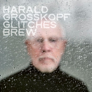 Harald Grosskopf - Glitches Brew ryhmässä CD / Kommande / Pop-Rock @ Bengans Skivbutik AB (5670866)