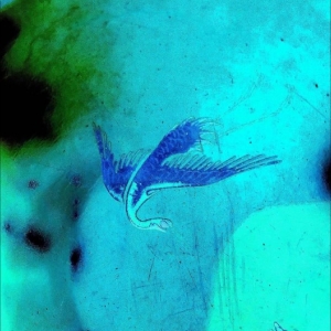 Schilling - Details ryhmässä VINYYLI / Kommande / Pop-Rock @ Bengans Skivbutik AB (5670874)