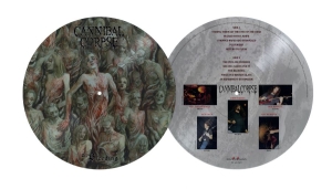 Cannibal Corpse - Bleeding The (Picture Disc Vinyl Lp ryhmässä VINYYLI / Kommande / Hårdrock @ Bengans Skivbutik AB (5671330)