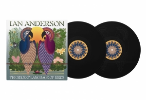 Anderson Ian - Secret Language Of Birds The (2 Lp ryhmässä ME SUOSITTELEMME / Perjantain julkaisut / 2026-06-12 @ Bengans Skivbutik AB (5671432)