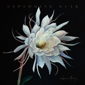 Maloney Heather - Exploding Star ryhmässä CD / World Music @ Bengans Skivbutik AB (5671537)