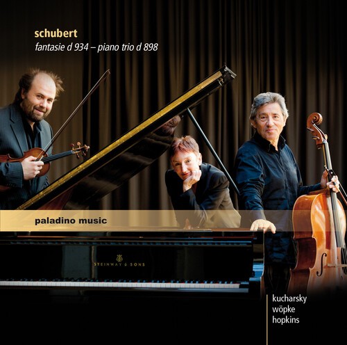 Schubert - Fantasie ryhmässä CD / Klassiskt @ Bengans Skivbutik AB (5672906)