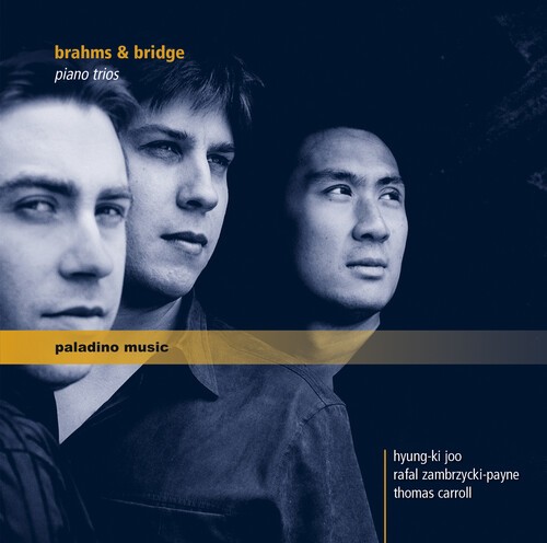 Brahms / Bridge - Piano Trios ryhmässä CD / Myydyimmät @ Bengans Skivbutik AB (5672922)