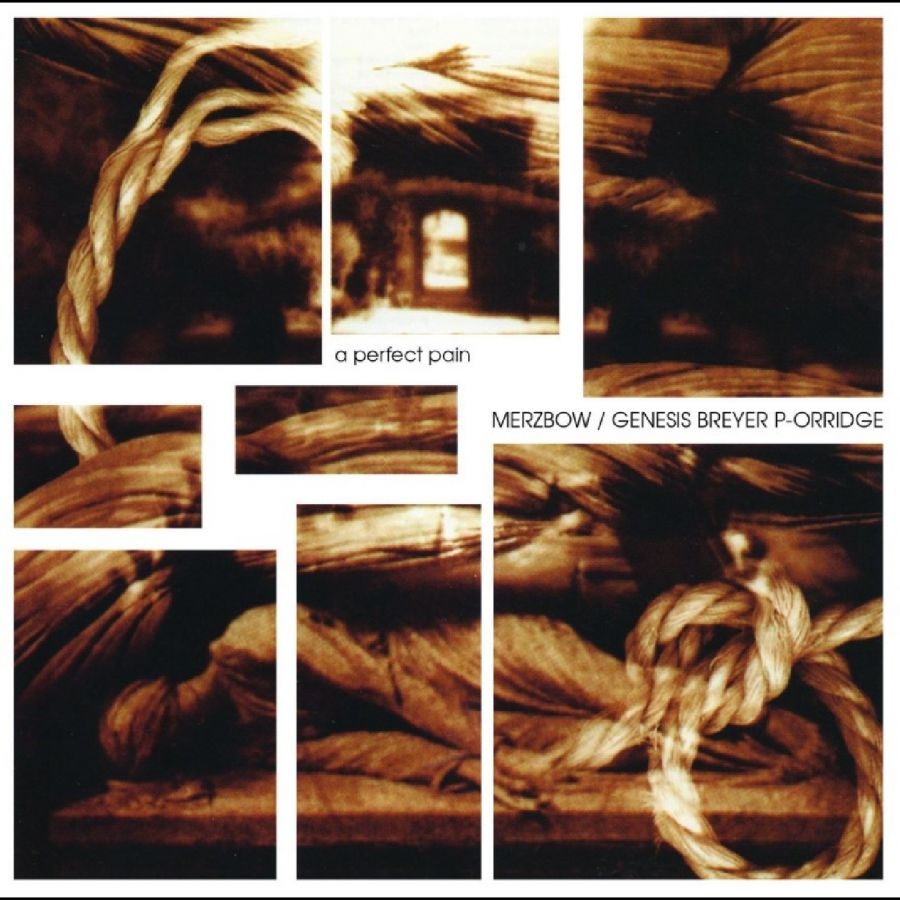 Merzbow / Genesis Breyer P-Orridge - A Perfect Pain ryhmässä CD / Kommande / Pop-Rock @ Bengans Skivbutik AB (5673028)